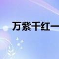 万紫千红一片绿是多少彩礼（万紫千红）