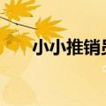 小小推销员作文500字（小小推销员）