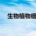 生物植物细胞结构图（植物细胞结构图）