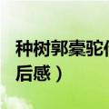种树郭橐驼传读后感400字（种树郭橐驼传读后感）