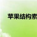 苹果结构素描视频教程（苹果结构素描）