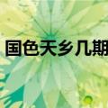 国色天乡几期最好玩（国色天乡门票多少钱）