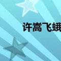 许嵩飞蛾扑火歌词（飞蛾扑火歌词）