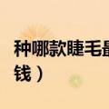 种哪款睫毛最好看自然（永久接睫毛一般多少钱）