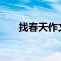 找春天作文作文（找春天作文300字）