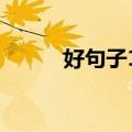 好句子100字摘抄（100字摘抄）