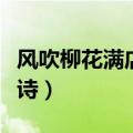 风吹柳花满店香全诗解释（风吹柳花满店香全诗）