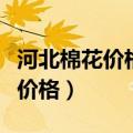 河北棉花价格后期会涨吗最新行情（河北棉花价格）