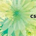 cs2公测（cs2 0地图）