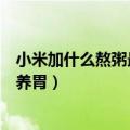 小米加什么熬粥最养胃又营养还不上火（小米加什么熬粥最养胃）