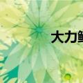 大力鳄值得培养吗（大力鳄）