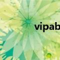 vipabc官网（vipabc怎么样）