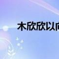 木欣欣以向荣泉（木欣欣以向荣的以）