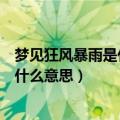 梦见狂风暴雨是什么意思 - 周公解梦官网（梦见狂风暴雨是什么意思）