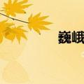 巍峨耸立造句（耸立造句）