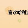 喜欢哈利波特的理由英语（理由英语）