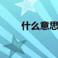 什么意思英语翻译（什么意思英语）