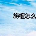 旃檀怎么读音发音（旃檀怎么读音）