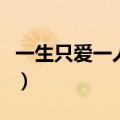 一生只爱一人的花语是什么花（一生只爱一人）