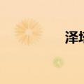 泽塔币违法吗（泽塔币）