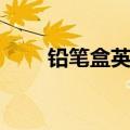 铅笔盒英文怎么写的（铅笔盒英文）