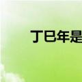丁巳年是哪一年（丙辰年是哪一年）
