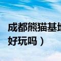 成都熊猫基地好玩吗值得去吗（成都熊猫基地好玩吗）