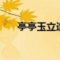 亭亭玉立造句一年级（亭亭玉立造句）