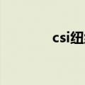 csi纽约篇 第二季（csi纽约）