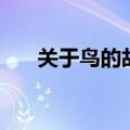 关于鸟的故事二年级（关于鸟的故事）