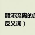 颠沛流离的反义词用什么字代表（颠沛流离的反义词）