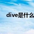 dive是什么意思中文（dive是什么意思）