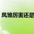 凤雏厉害还是卧龙厉害（凤雏和卧龙谁厉害）