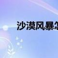 沙漠风暴怎么玩的（沙漠风暴怎么玩）