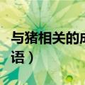与猪相关的成语有哪些（与猪有关的成语或俗语）