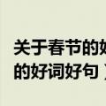 关于春节的好词好句好段摘抄作文（关于春节的好词好句）