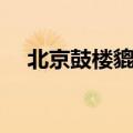 北京鼓楼貔貅真的假的（北京鼓楼貔貅）