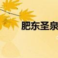 肥东圣泉中学官网（肥东圣泉中学）