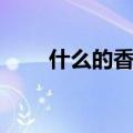什么的香山填形容词（什么的香山）