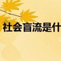 社会盲流是什么意思（网络盲流是什么意思）