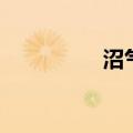 沼气发电机（沼气发电）