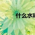 什么水喝不能喝（什么水不能喝）
