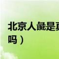 北京人彘是真的吗还是假的（北京人彘是真的吗）