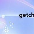 getchar作用（getchar用法）