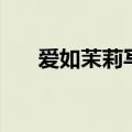 爱如茉莉写了哪四件小事（爱如茉莉）