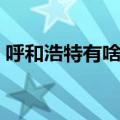 呼和浩特有啥好玩的（呼和浩特好玩的地方）