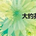 大约英文是什么（大约英文）