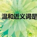 温和近义词是什么意思（温和近义词是什么）