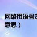 网络用语骨灰级是什么意思（骨灰级玩家什么意思）