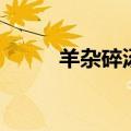 羊杂碎汤的做法和配料（羊杂碎）